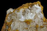 Hemimorphite Crystal Cluster - Chihuahua, Mexico #127514-1